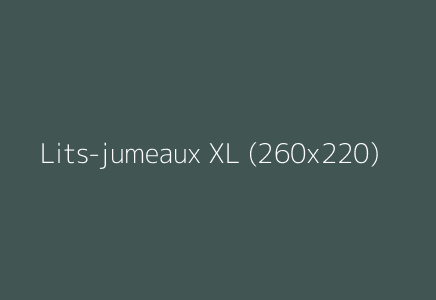 Lits-jumeaux XL (260x220)
